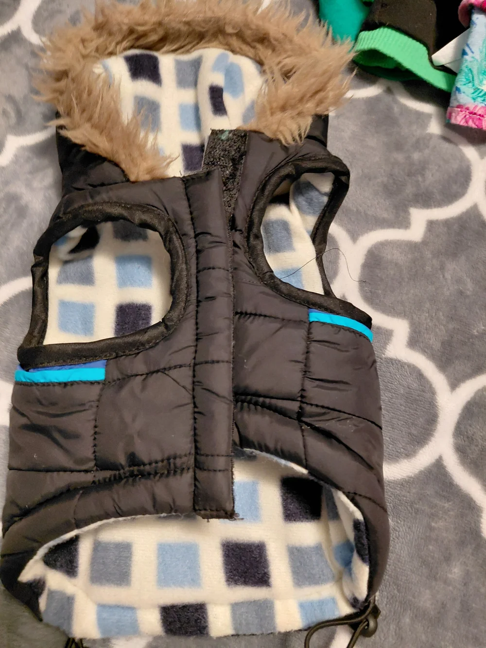 Set Of 5 Doggie Super Cute Clothing